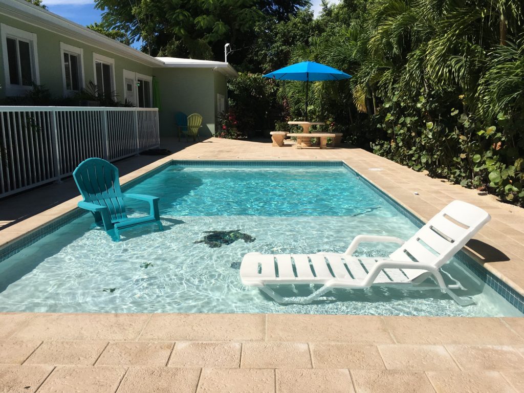 pool home located in islamorada florida keys