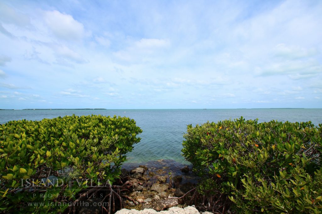 view of florida bay and the many mangrove islands