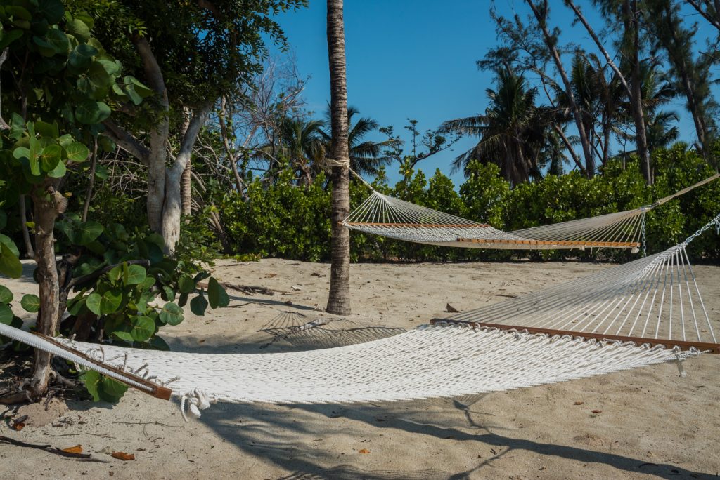 beach side hammocks under the palm trees